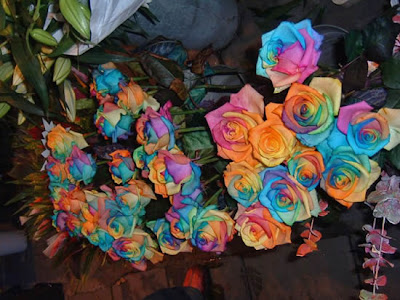 Rainbow Roses Are For Real Seen On www.coolpicturegallery.net