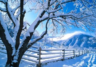 Christmas winter snowfall picture