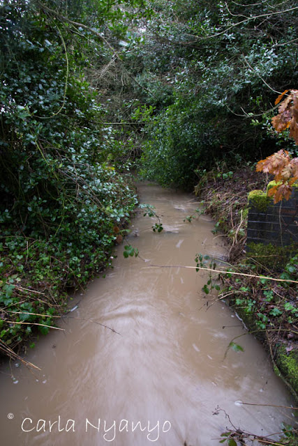 onward from butt lane