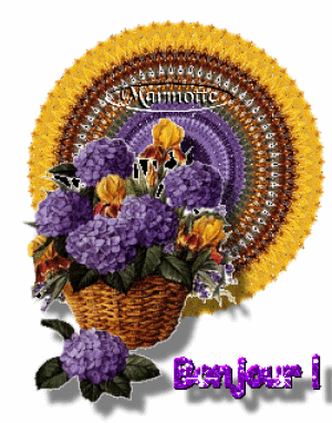 bonjour_orthensias