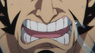 ワンピース アニメ 982話 ONE PIECE EPISODE 982