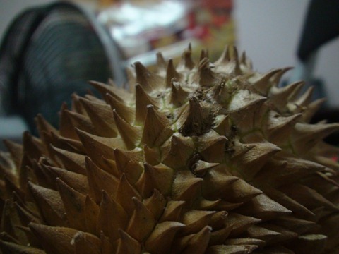 durian (6)