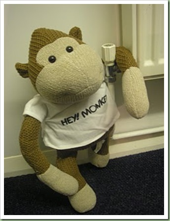Mums_Monkey_24_01_07_006