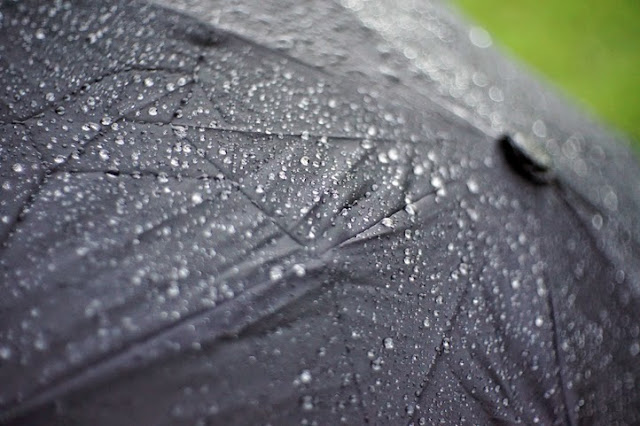 Click to see picture of umbrella in the rain