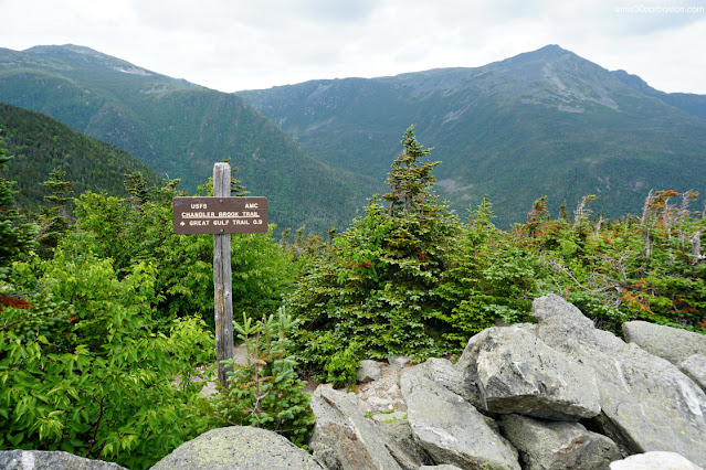 Senderos Señalizados en Mount Washington