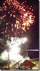 DSCF3883