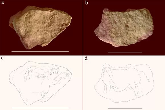 Fotografías y trazados digitales de dos placas del yacimiento de Montastruc, Francia. Barras de escala - 10 cm. Crédito de la imagen: Needham et al., doi: 10.1371/journal.pone.0266146