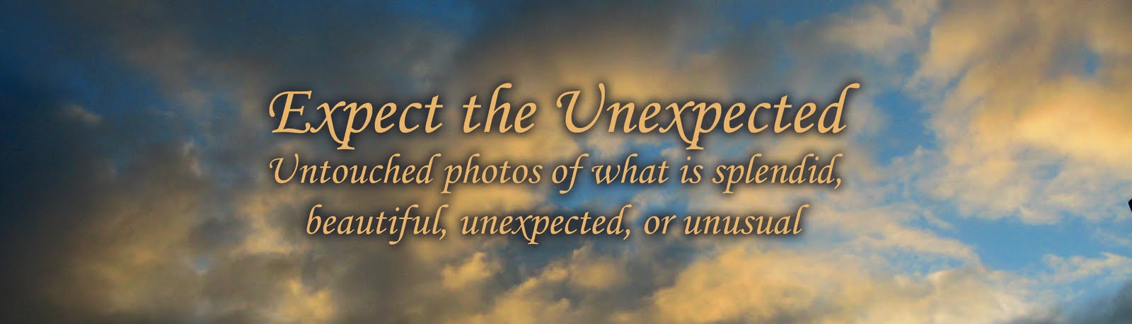 Expect the Unexpected