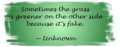 Sometimes the grass is greener on the other side because it's fake