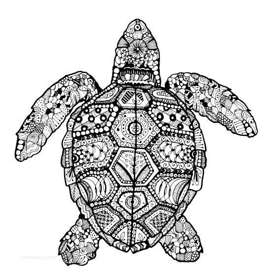 Sea Turtle Coloring Page Unique Turtle