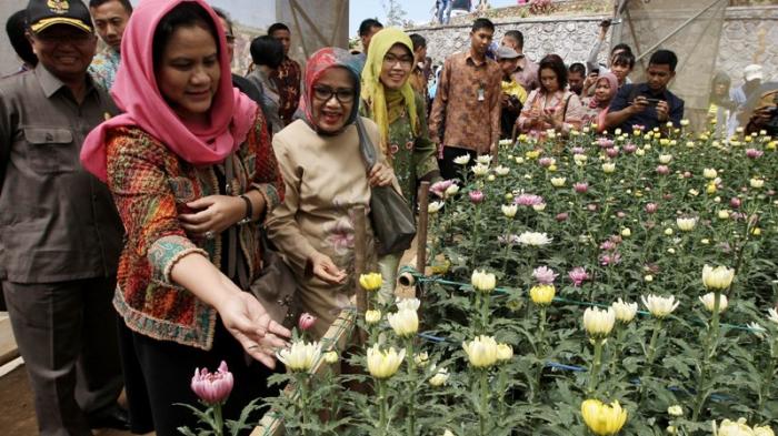 Fotofoto Hijab Iriana Jokowi Gaya Pakaian Istri Presiden Jokowi