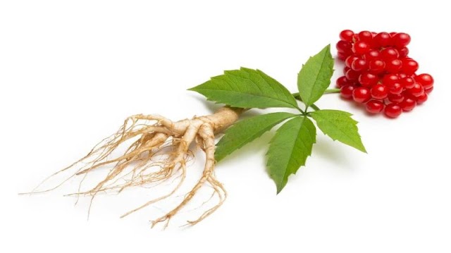 Você sabe para que serve o ginseng e os benefícios?
