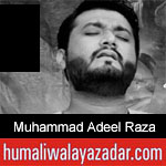 https://www.humaliwalayazadar.com/2019/10/muhammad-adeel-raza-nohay-2020.html