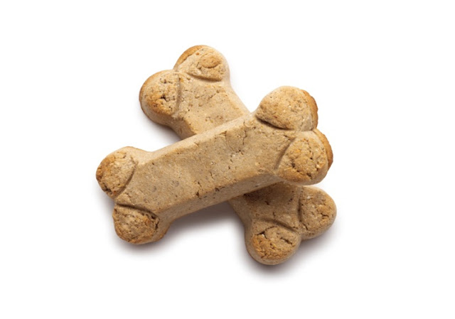 A Healthier Food Alternative For Your Maltese Dog