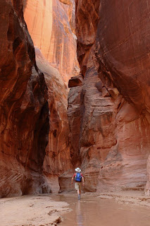 Paria Canyon-Vermilion Cliffs Wilderness