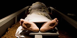 20_2149-cult-filmefobia-blog