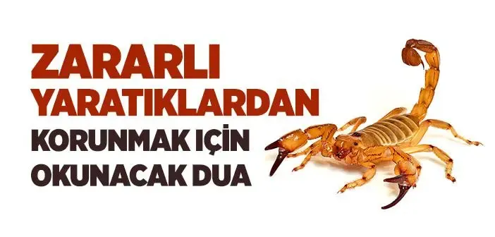 Zararlı Yaratıklardan Korunmak İçin Dua