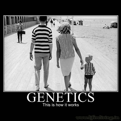 Genetics, This is how it works