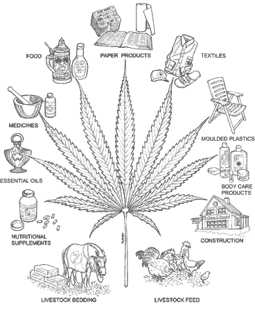 wallpaper cannabis. cannabis wallpaper.
