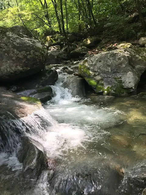 summer-stream