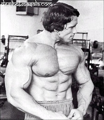 arnold schwarzenegger bodybuilding pictures. arnold schwarzenegger photos