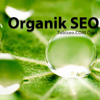 seo danışmanı