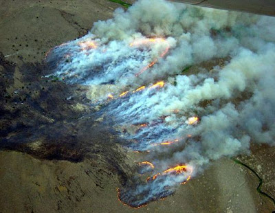 forest fire in USA