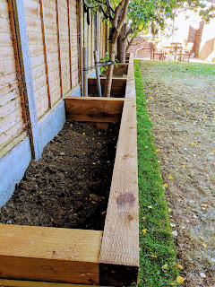 Raised beds on the tree side of the garden