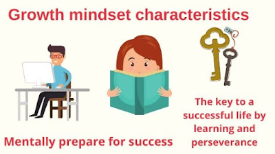 Growth mindset characteristics