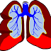 How Does the Respiratory System Work?