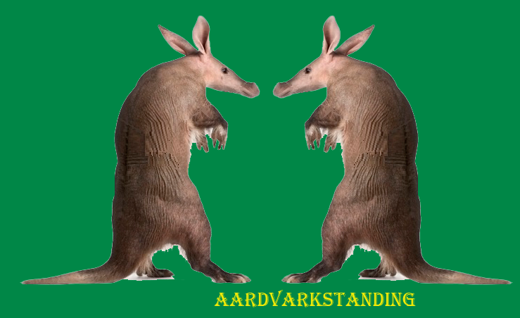 What does "aardvark" mean?