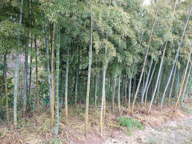 鳥取県西伯郡大山町赤松の旧大山道からの眺望