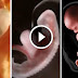 Fertilization Process of a Baby in the Womb of the Mother