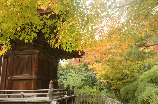 常寂光寺多寶塔旁紅楓