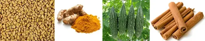 Best Ayurveda Tips to Control Blood Sugar (Glucose)