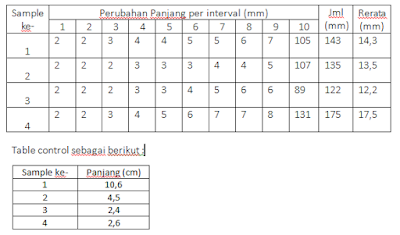 Laporan praktek letak daerah tumbuh tanaman