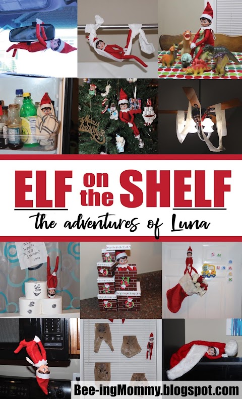 Elf on the Shelf - The Adventures of Luna 2017