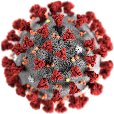 coronavirus