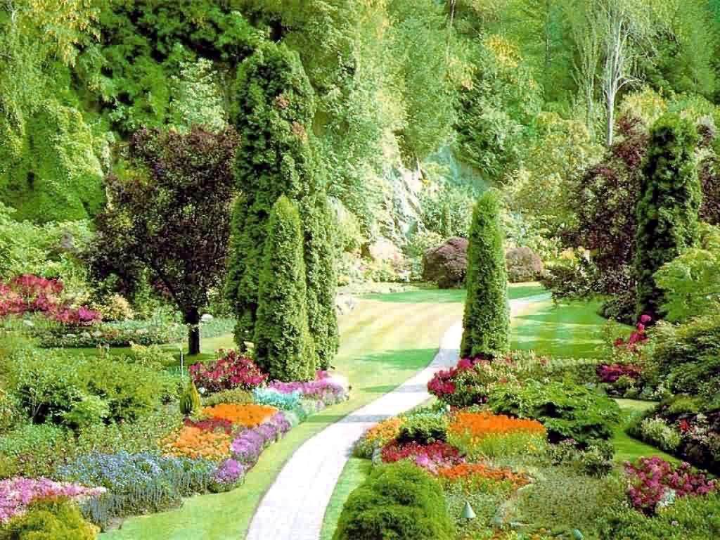 Beautiful gardens - azee