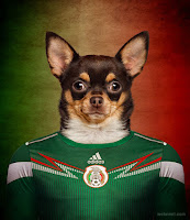 Photoshop : Si los perros fueran jugadores de fútbol en el mundial