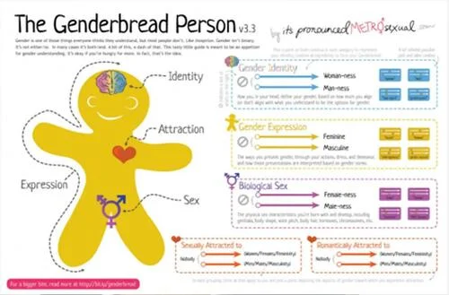 Source: Genderbread Person activities from The Mask You Live In curriculum for middle and high school students.