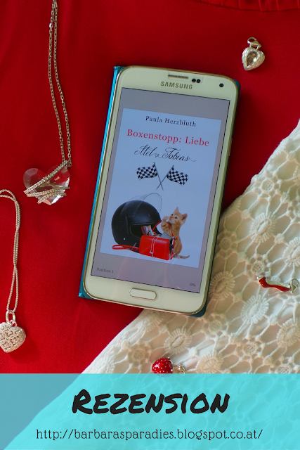 Buchrezension #105 Boxenstopp: Liebe: Mel & Tobias von Paula Herzbluth