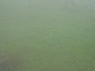 monsoon in kerala