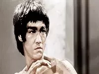 Bruce lee