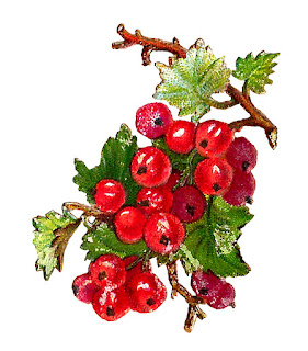 digital fruit currant image