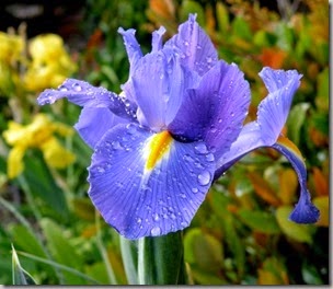 ATT00098