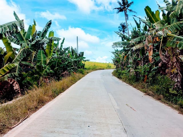 ❤️With Overlooking View of the Mountain and Sea ❤️👉🏞️🏡🌳Makatukod ug Balay Dayun❗Farm Lot For Sale in Bogo City Cebu North
