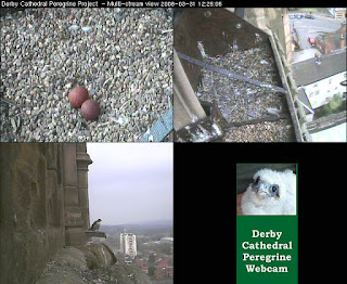 Derby webcam multi-image view. Click to enlarge