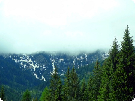 mountains