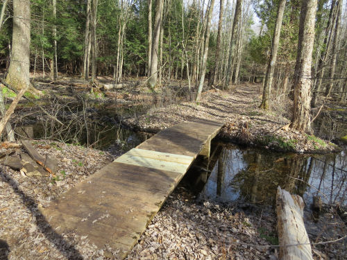 trail bridge